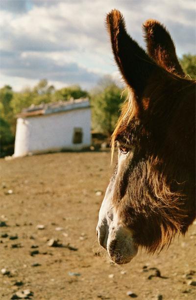 Guest house Casas Campo Cimo Da Quinta